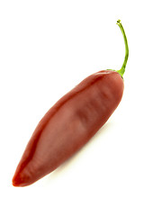 Image showing red hot chili 