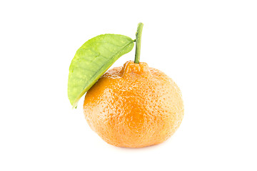 Image showing tangerine