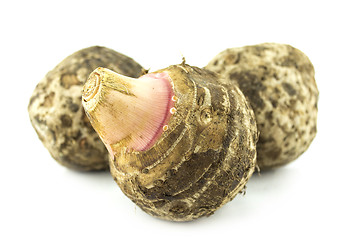 Image showing fresh taro root 