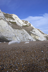 Image showing sea cliffs