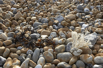 Image showing Rope on the beach