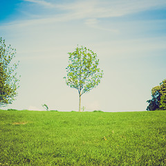 Image showing Vintage look Primrose Hill, London