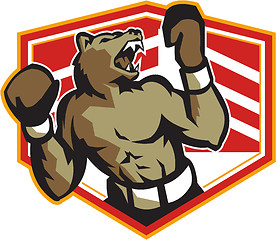 Image showing Angry Bear Boxer Boxing Retro
