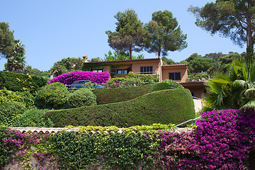 Image showing View of the lovely garden