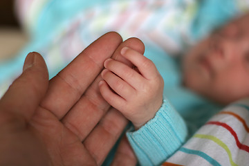 Image showing baby hands with his mother