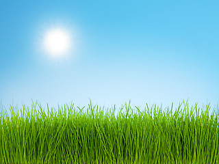 Image showing Grass and Blue Sky