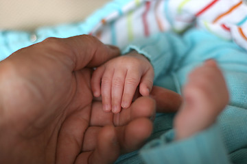 Image showing baby hands with his mother