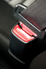 Image showing Seat belt
