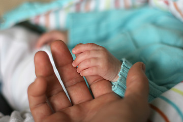 Image showing baby hands with his mother