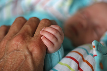 Image showing baby hands with his mother