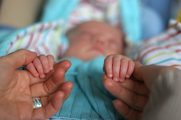 Image showing baby hands with his mother