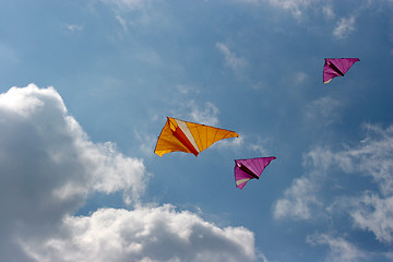 Image showing kites in the sky