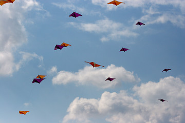 Image showing kites in the sky