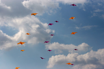 Image showing kites in the sky