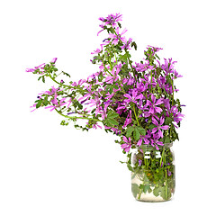Image showing wild violet flowers in glass jar 