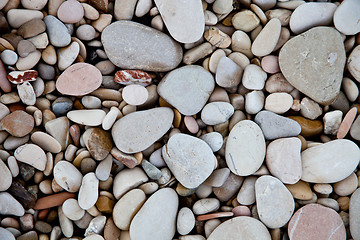 Image showing sea pebbles