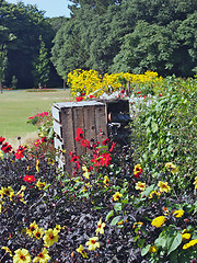 Image showing Bug Hotel