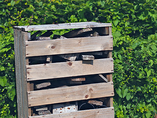 Image showing Bug Hotel