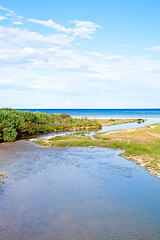 Image showing river, coastline and blue sea
