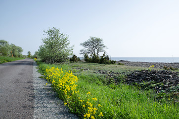 Image showing Yellow roadside