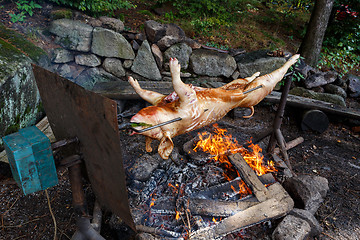 Image showing Piglet on the grill in outdoor