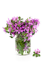 Image showing wild violet flowers in glass jar 