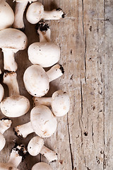 Image showing  fresh champignons 