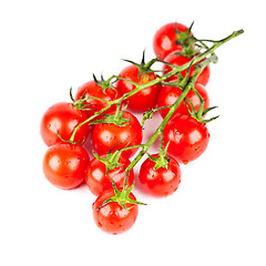 Image showing fresh organic cherry tomatoes 