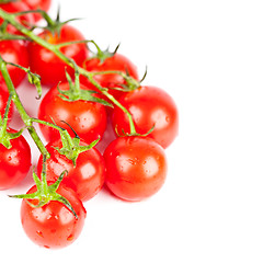 Image showing fresh cherry tomatoes