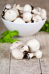 Image showing  fresh champignons with parsley in a bowl