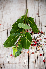 Image showing fresh laurel and peppercorns