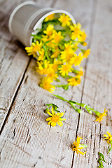 Image showing wild yellow flowers in bucket 