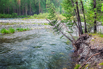 Image showing landscape with river