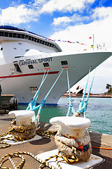 Image showing Carnival Spirit Cruise Liner docked at Sydney Harbour