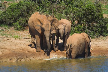 Image showing threes a crowd