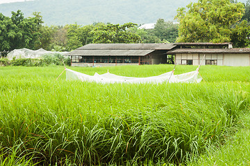 Image showing Agricultural shed and green crops field