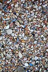 Image showing round colored sea pebbles
