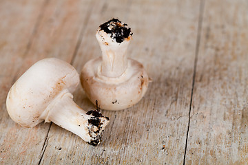 Image showing two fresh champignons 