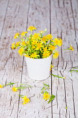 Image showing wild yellow flowers in bucket