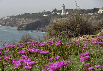 Image showing portugese coastal scenery