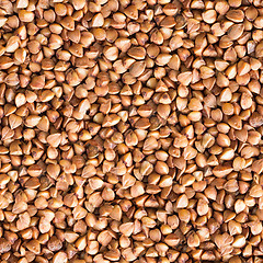 Image showing Buckwheat Groats. Seamless Tileable Texture.