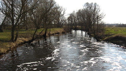 Image showing flood on the river in the spring