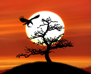 Image showing Tree Silhouette And A Bird Against Sunset