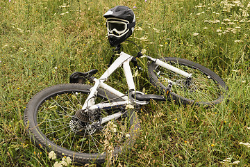 Image showing Bicycle in the grass