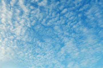 Image showing Altocumulus clouds - natural skyscape background