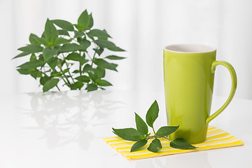 Image showing Green teacup and fresh mint