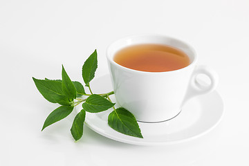 Image showing Cup of tea with fresh mint