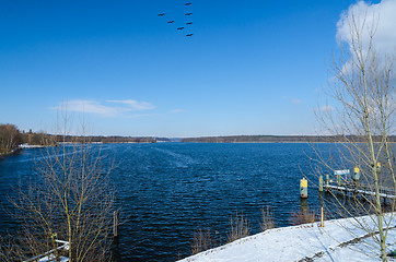 Image showing Flying birds over winter lake or river with snowy shores