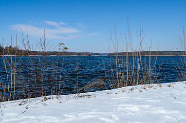 Image showing Snowy shore of Glienicke lake on Havel river