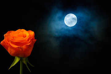 Image showing Rose and moon